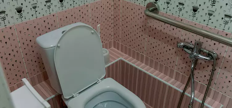 Meeting Diverse Needs With Accessible Restroom Solutions in Danville, CA